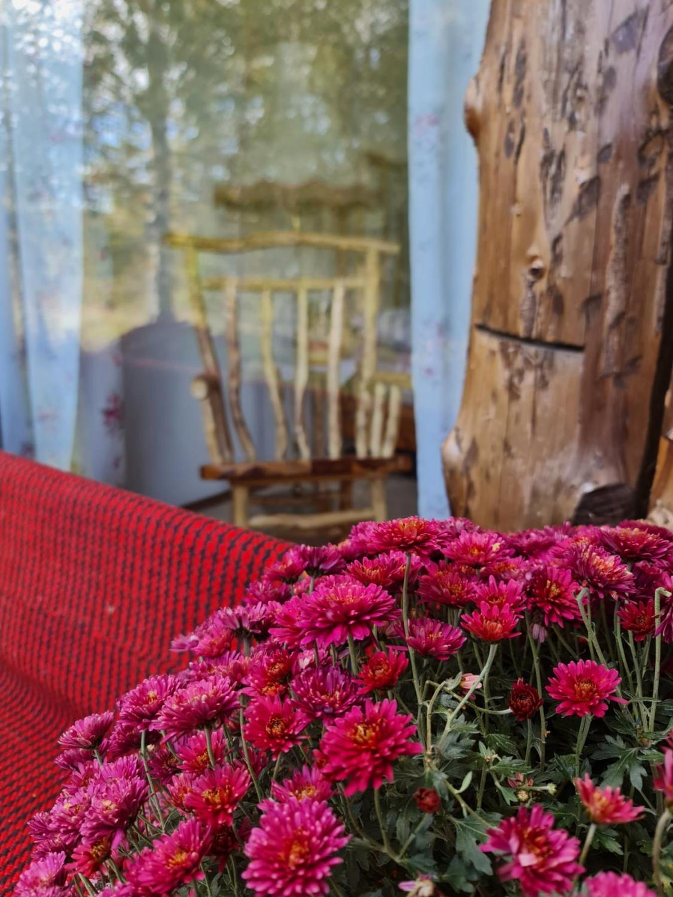 Ethno Village Montenegro Brezna Pluzine Bagian luar foto